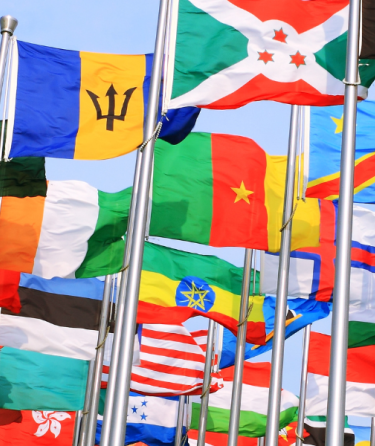 Collection of world flags