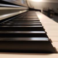 Piano keys in close-up