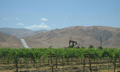 Orchard with Oil Derricks and an Aqueduct in the Background