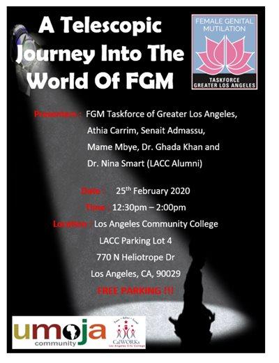 A Telescopic Journey Into the World of FGM Flyer